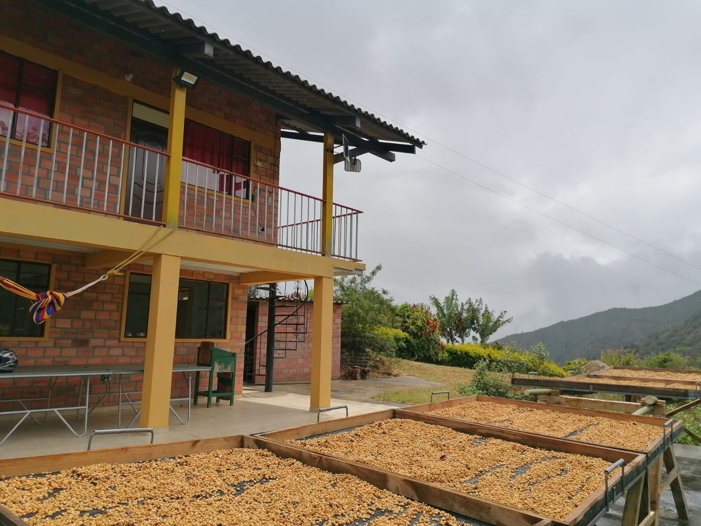 Colombia - Quindio